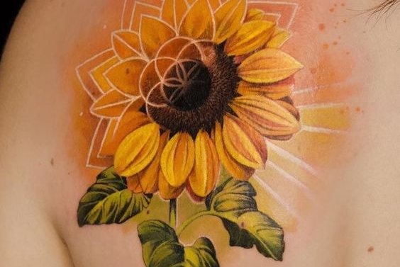 Подсолнух (10)
