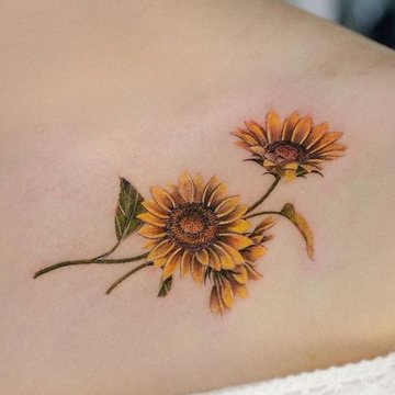 Подсолнух (12)