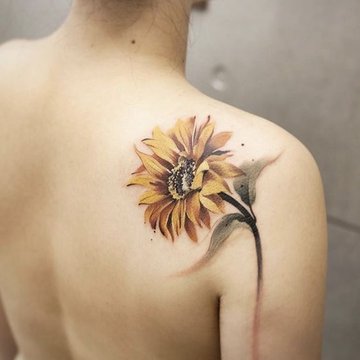 Подсолнух (15)
