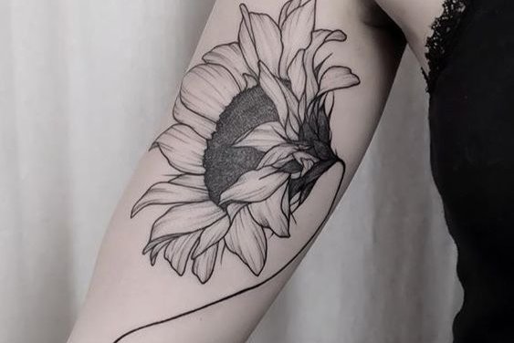 Подсолнух (2)