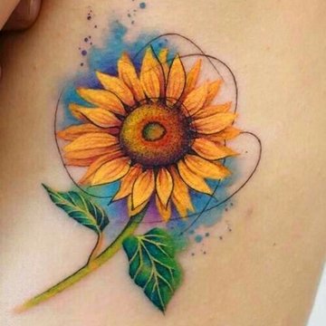 Подсолнух (21)