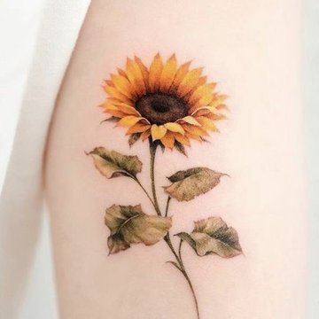 Подсолнух (29)