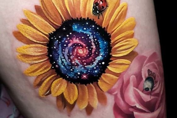 Подсолнух (35)