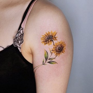 Подсолнух (37)
