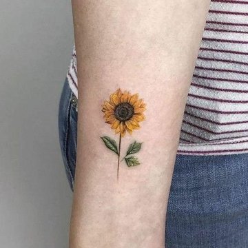 Подсолнух (38)