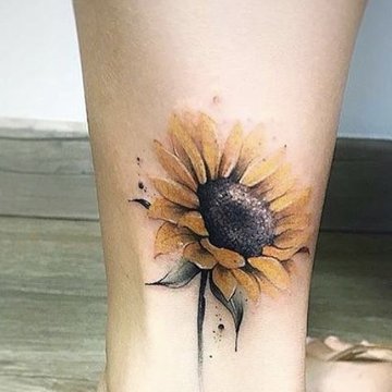 Подсолнух (7)