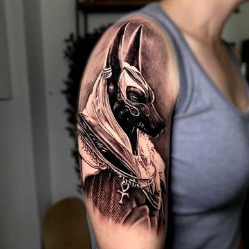 анубис (25)