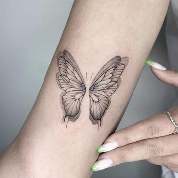 бабочка (31)