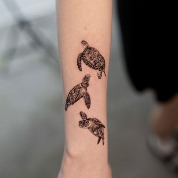 черепаха (17)