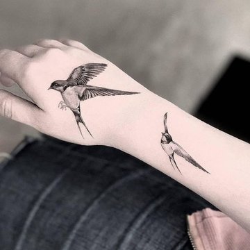ласточка (11)
