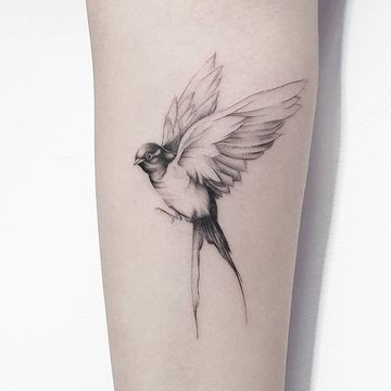 ласточка (24)