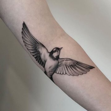ласточка (29)