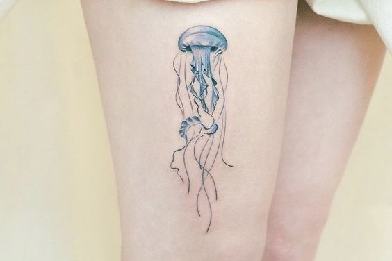медуза (3)
