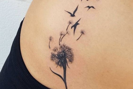 одуванчик (30)