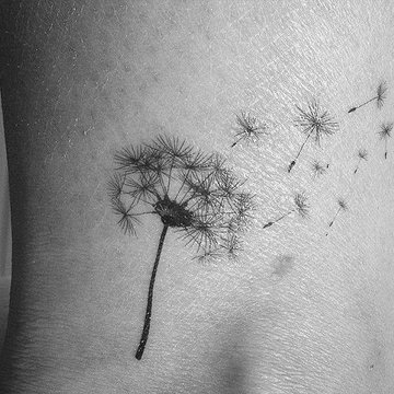 одуванчик (4)