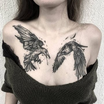 ворон (21)